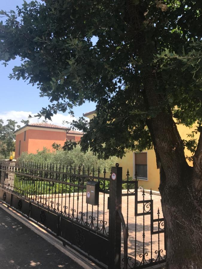 Villa Eva Karigador Novigrad  Zewnętrze zdjęcie