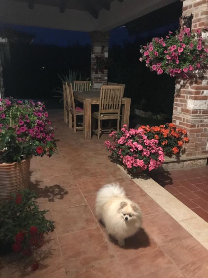 Villa Eva Karigador Novigrad  Zewnętrze zdjęcie