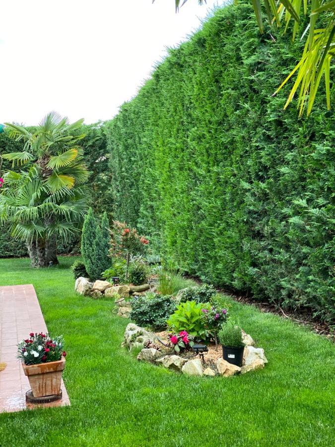 Villa Eva Karigador Novigrad  Zewnętrze zdjęcie