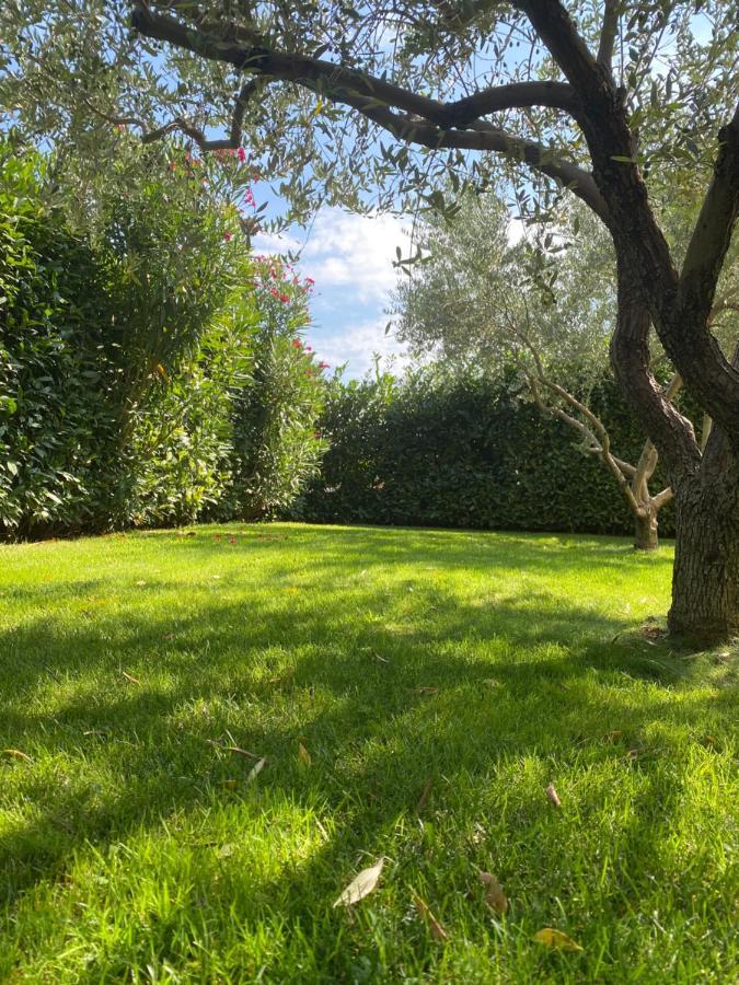 Villa Eva Karigador Novigrad  Zewnętrze zdjęcie