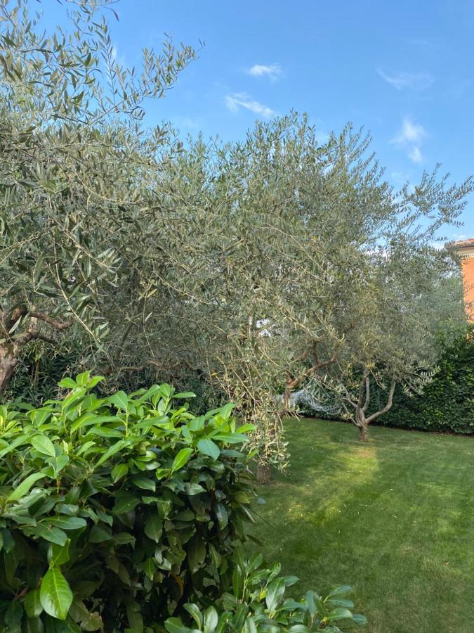 Villa Eva Karigador Novigrad  Zewnętrze zdjęcie